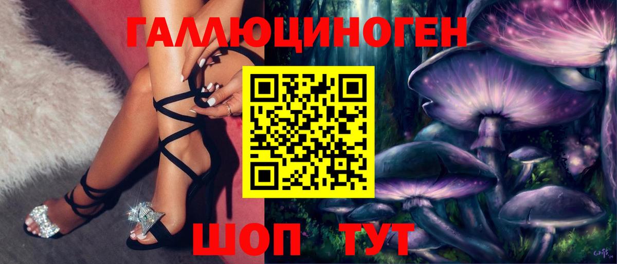 Элиста  Псилоцибиновые грибы прущие грибы  Вход с VPN  Псилоцибиновые грибы ЛСД 